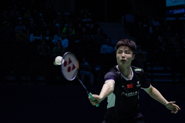 以其惊人的 以其惊人的