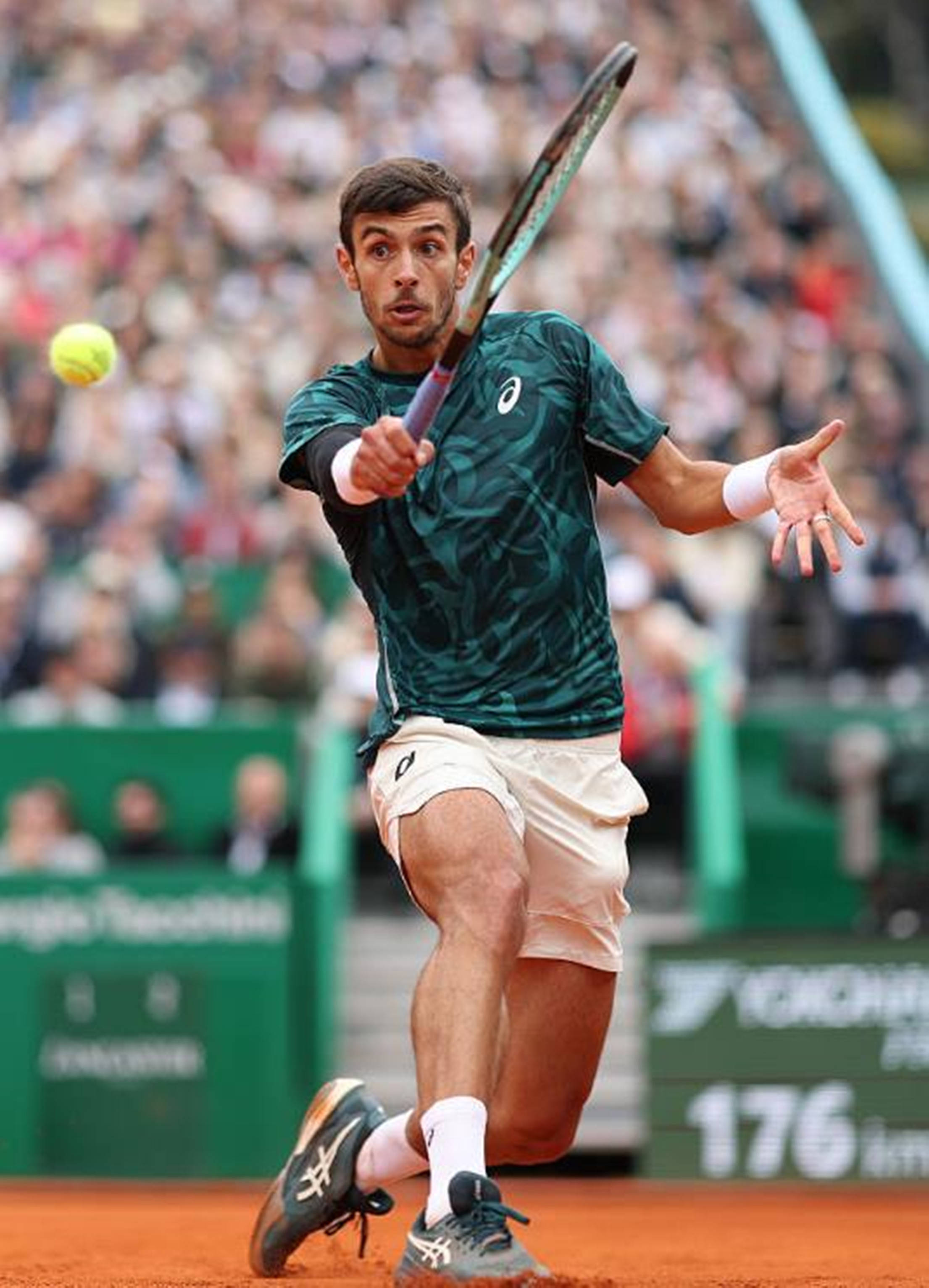 此次巴黎奥 此次巴黎奥