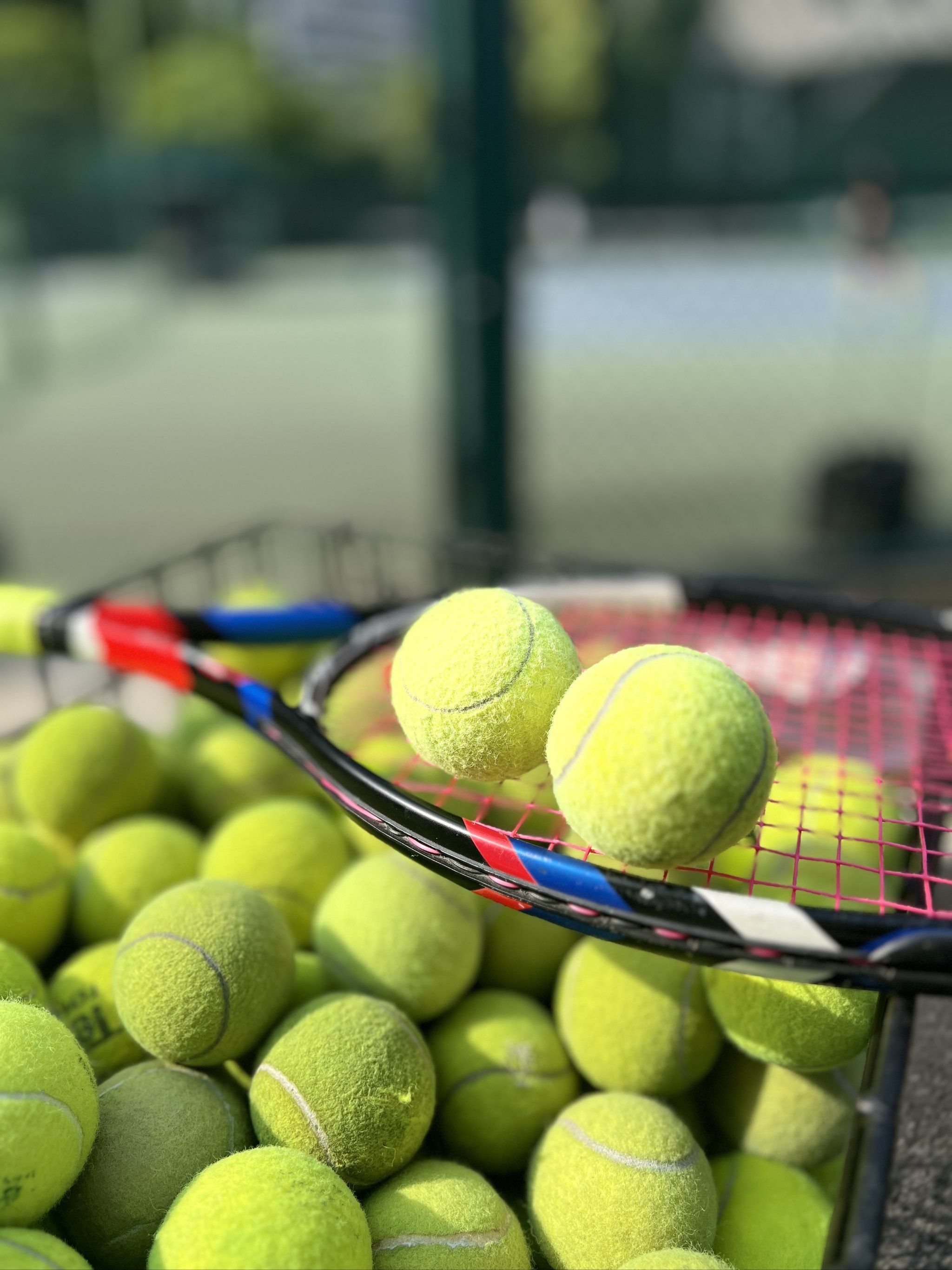 场下成为了 场下成为了